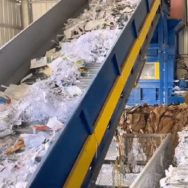 Alimenta&ccedil;&atilde;o